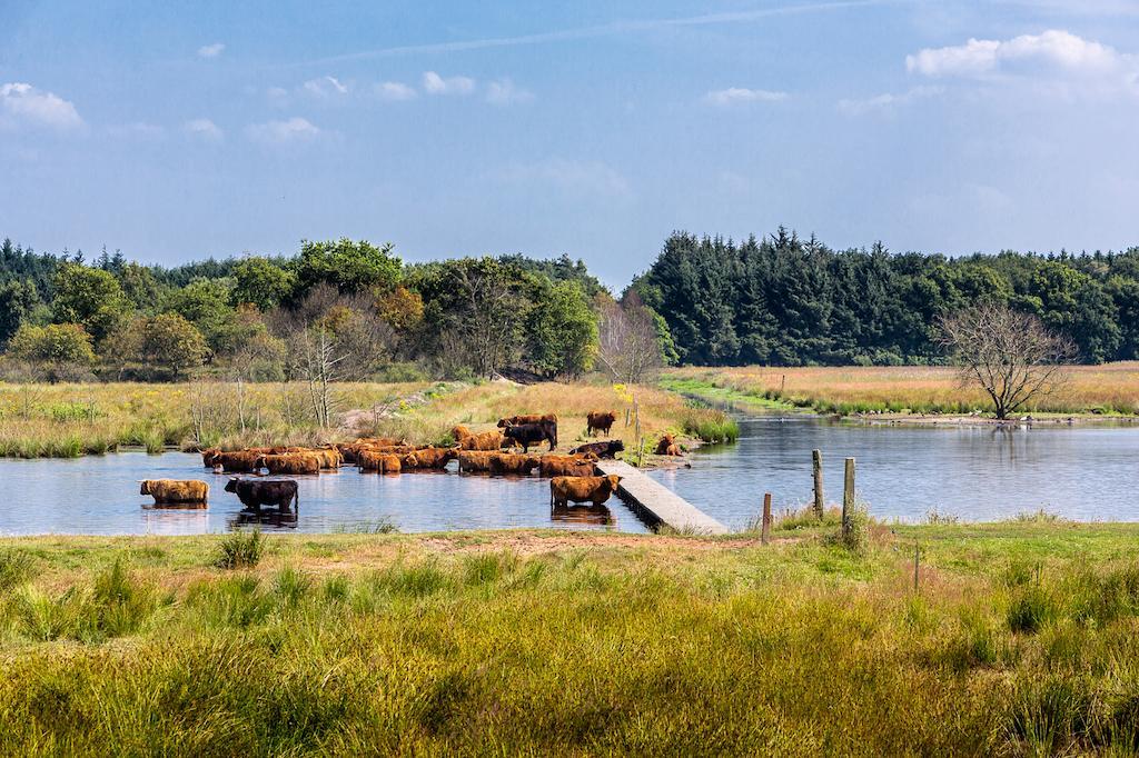 Hotel Aan De Vaart Appelscha Zewnętrze zdjęcie