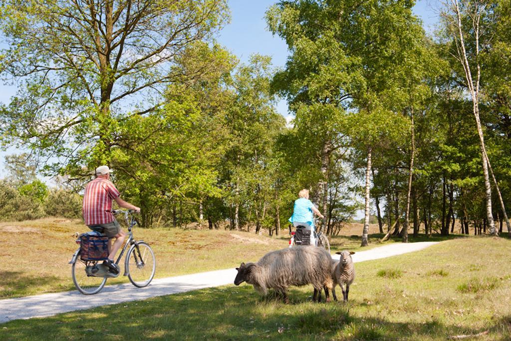 Hotel Aan De Vaart Appelscha Zewnętrze zdjęcie